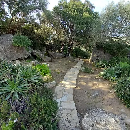 60 M2 Climatise 2 Adultes Max Et 2 Enfants Piscine Partagee